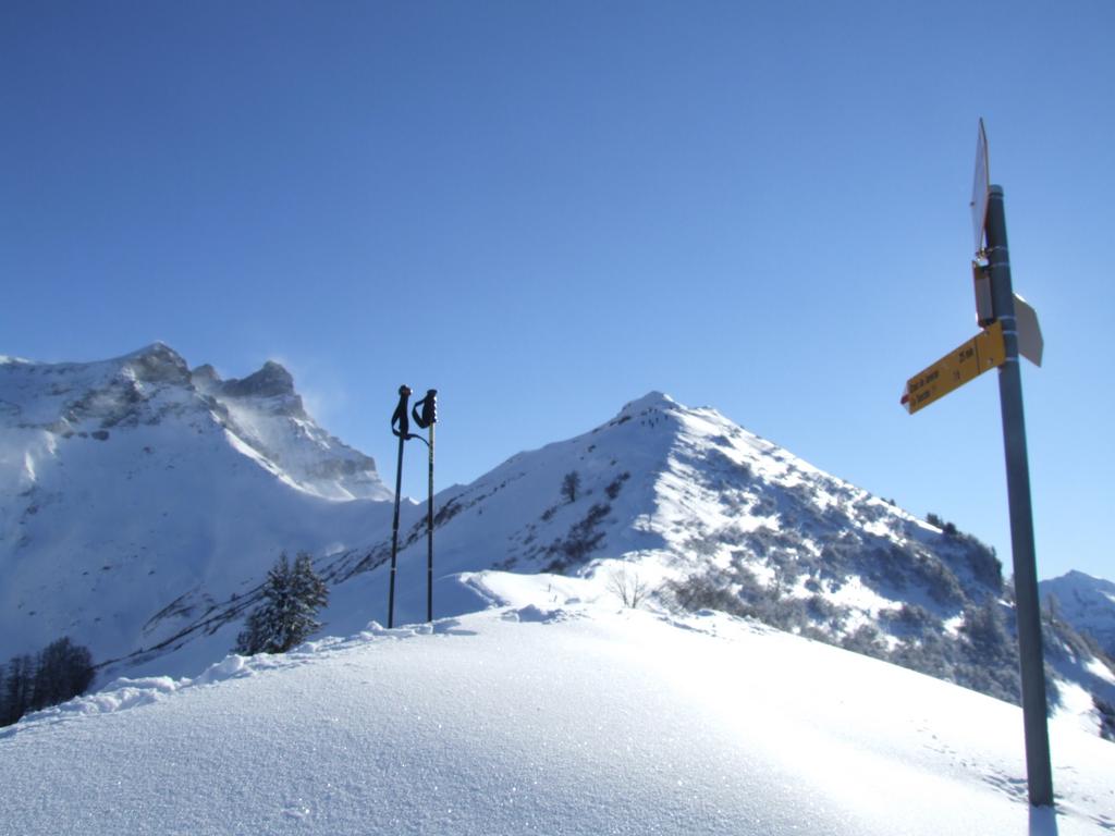 Clic pour voir l'image suivante