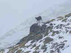 Clic pour agrandir l'�mage (1024x768 pixels; 68 KB)