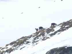 Clic pour agrandir l'�mage (1024x768 pixels; 57 KB)