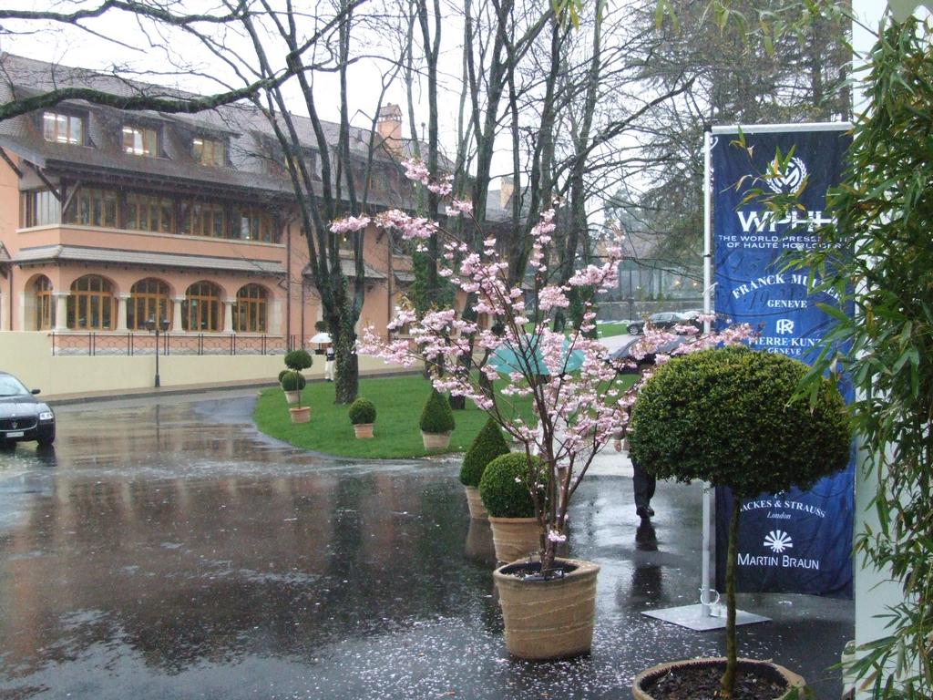 Clic pour voir l'image suivante