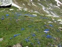 Clic pour agrandir l'mage (1024x768 pixels; 235 KB)