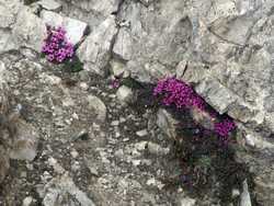 Clic pour agrandir l'mage (1024x768 pixels; 207 KB)