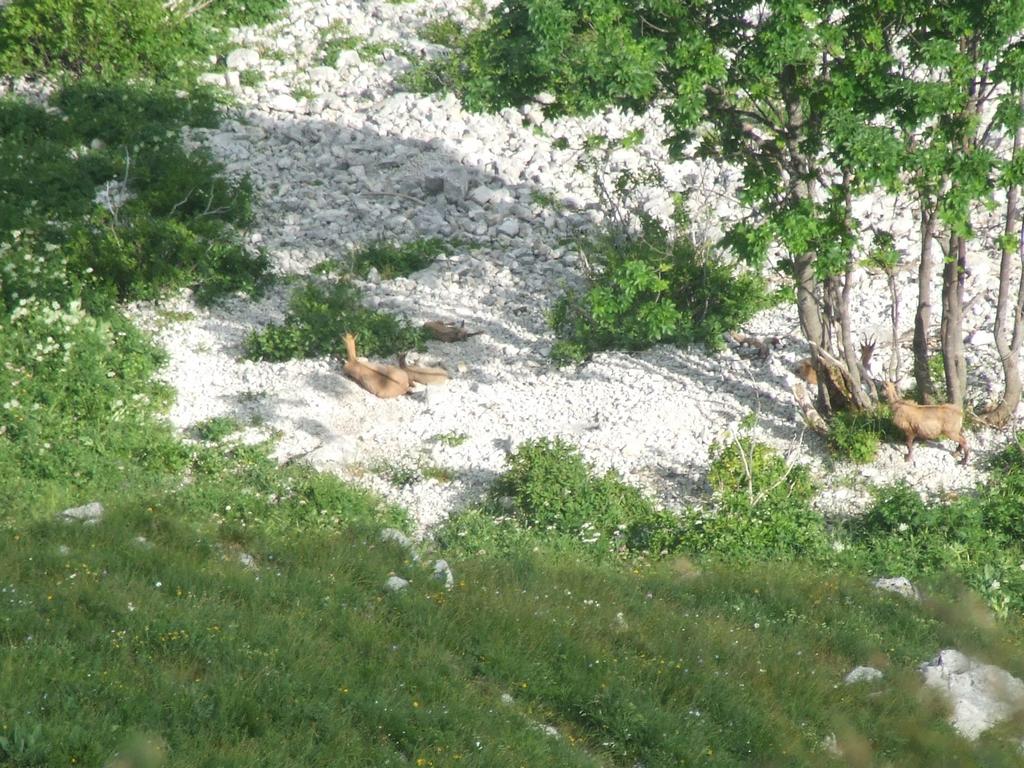 Pour l'image suivante