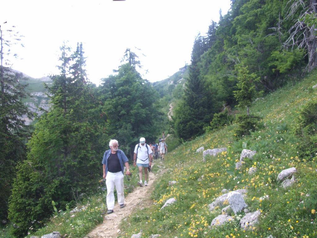 Pour l'image suivante