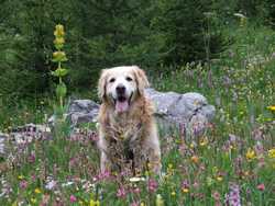 Clic pour agrandir l'�mage (1024x768 pixels; 206 KB)