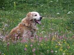 Clic pour agrandir l'�mage (1024x768 pixels; 200 KB)