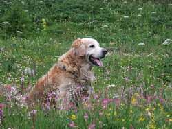 Clic pour agrandir l'�mage (1024x768 pixels; 203 KB)