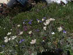 Clic pour agrandir l'�mage (1024x768 pixels; 222 KB)