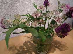 Clic pour agrandir l'mage (1024x768 pixels; 145 KB)