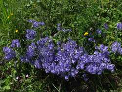 Clic pour agrandir l'mage (1024x768 pixels; 265 KB)