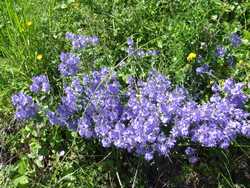 Clic pour agrandir l'mage (1024x768 pixels; 303 KB)