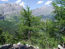 Clic pour agrandir l'mage (1024x768 pixels; 227 KB)