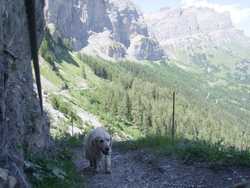 Clic pour agrandir l'mage (1024x768 pixels; 150 KB)