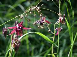 Clic pour agrandir l'mage (1024x768 pixels; 123 KB)