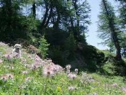 Clic pour agrandir l'�mage (800x600 pixels; 164 KB)