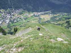 Pour agrandir l'image (1024x768 pixels; 209 KB)