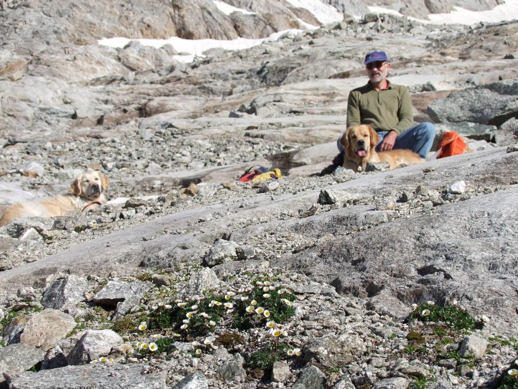 Pour l'image suivante