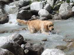 Pour agrandir l'image (1024x768 pixels; 195 KB)