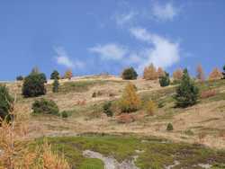 Pour agrandir l'image (1024x768 pixels; 145 KB)