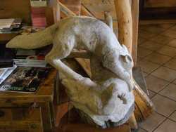 Pour agrandir l'image (1024x768 pixels; 135 KB)