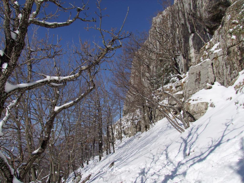 Pour l'image suivante