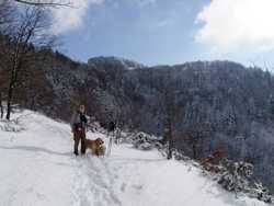 Pour agrandir l'image (1024x768 pixels; 146 KB)