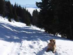 Pour agrandir l'image (1024x768 pixels; 116 KB)