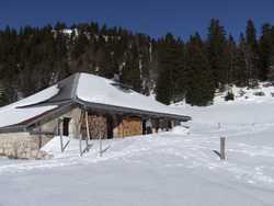 Pour agrandir l'image (1024x768 pixels; 120 KB)