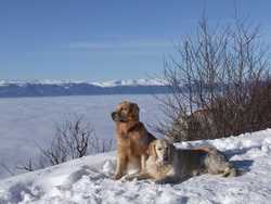 Pour agrandir l'image (1024x768 pixels; 133 KB)