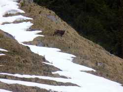 Pour agrandir l'image (1024x768 pixels; 112 KB)