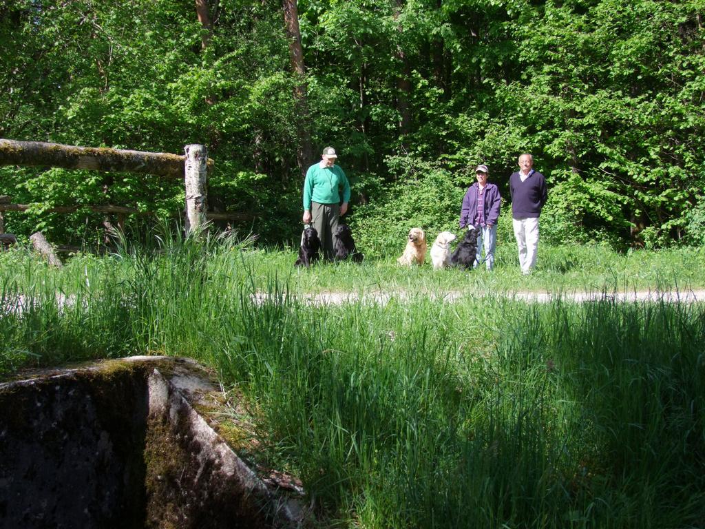 Pour l'image suivante