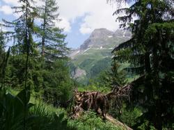 Cliquer pour agrandir l'image (1024x768 pixels; 200 KB)