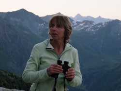 Pour agrandir l'image (1024x768 pixels; 98 KB)