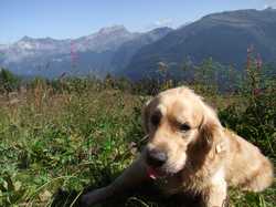 Pour agrandir l'image (1024x768 pixels; 168 KB)