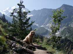 Pour agrandir l'image (1024x768 pixels; 185 KB)