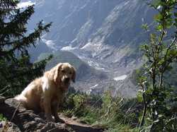 Pour agrandir l'image (1024x768 pixels; 194 KB)