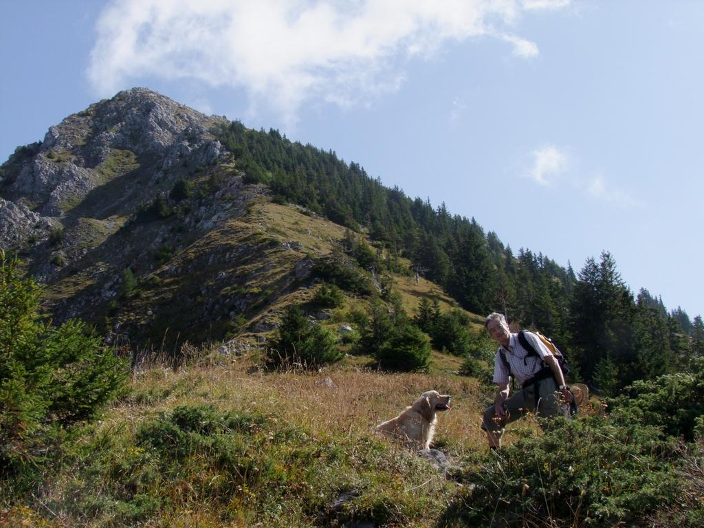 Pour l'image suivante