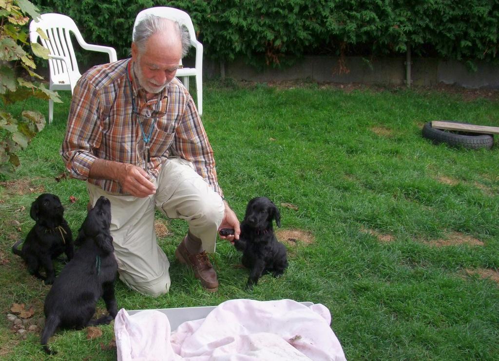 Pour l'image suivante