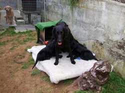 Pour agrandir l'image (1024x768 pixels; 164 KB)