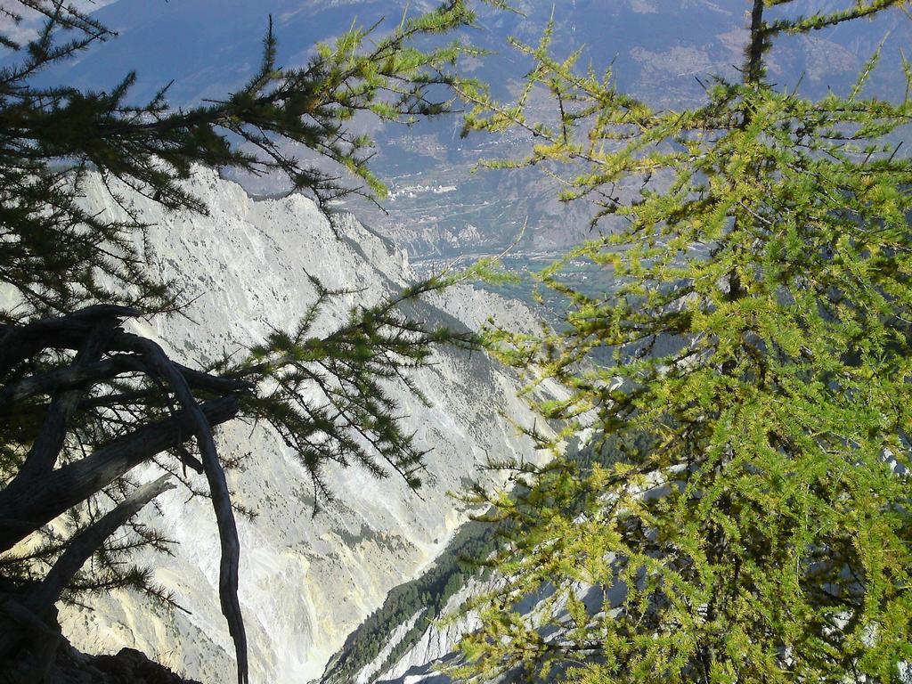 Pour l'image suivante