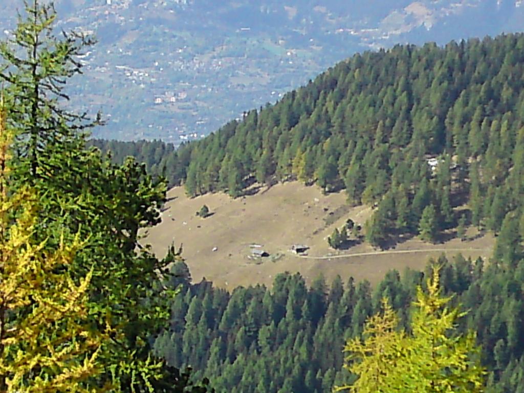 Pour l'image suivante