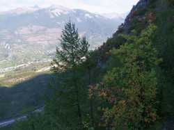 Pour agrandir l'image (1024x768 pixels; 125 KB)