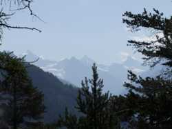 Pour agrandir l'image (1024x768 pixels; 93 KB)