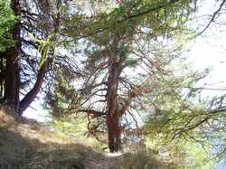 Pour agrandir l'image (1024x768 pixels; 244 KB)