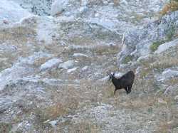 Pour agrandir l'image (1024x768 pixels; 212 KB)