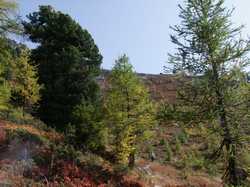 Pour agrandir l'image (1024x768 pixels; 209 KB)