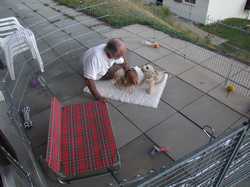 Pour agrandir l'image (1024x768 pixels; 157 KB)