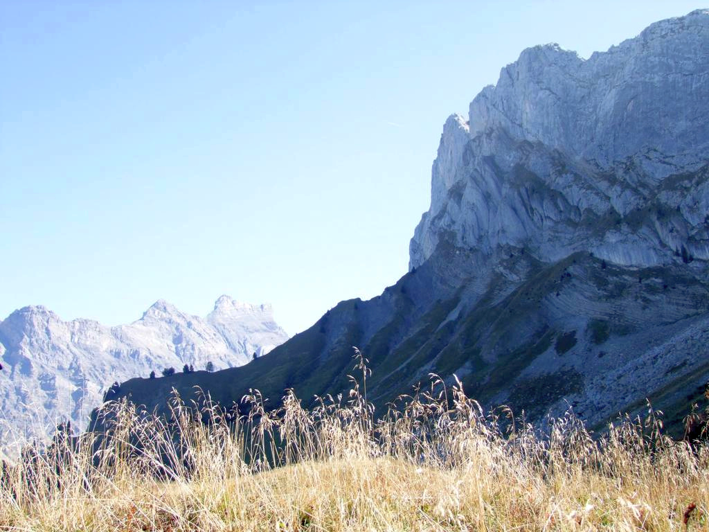 Pour l'image suivante