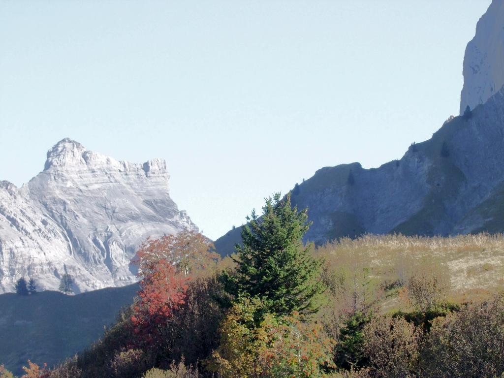 Pour l'image suivante