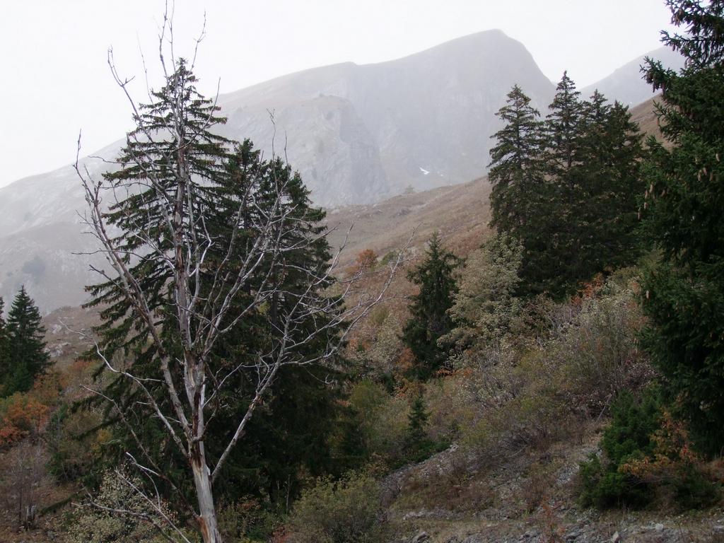 Pour l'image suivante